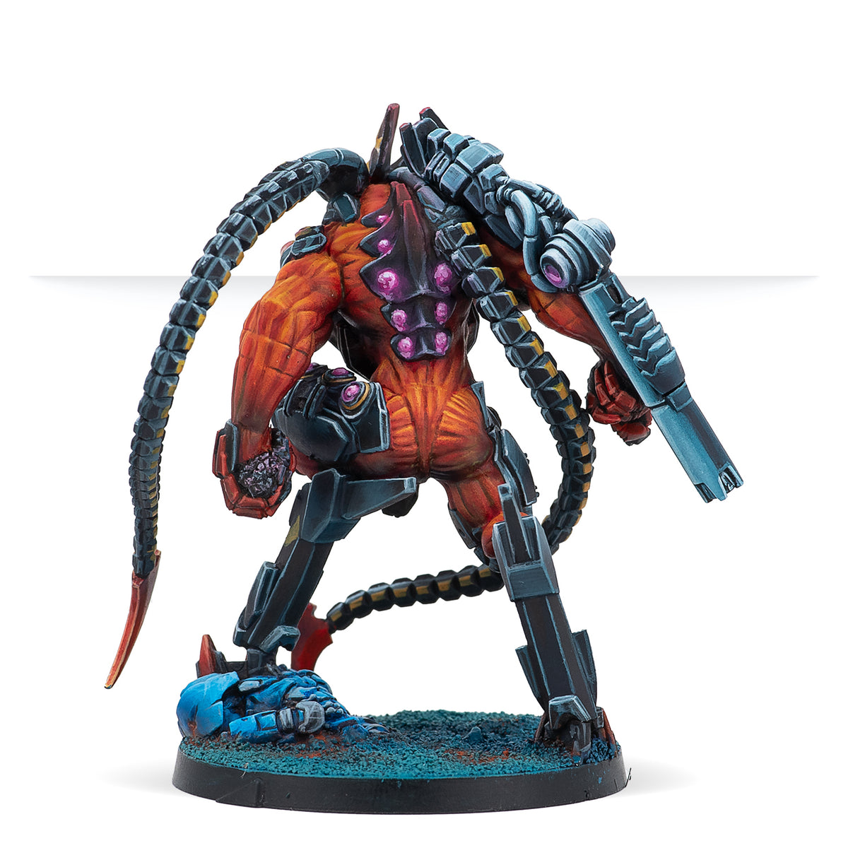The Anathematics (Hacker)