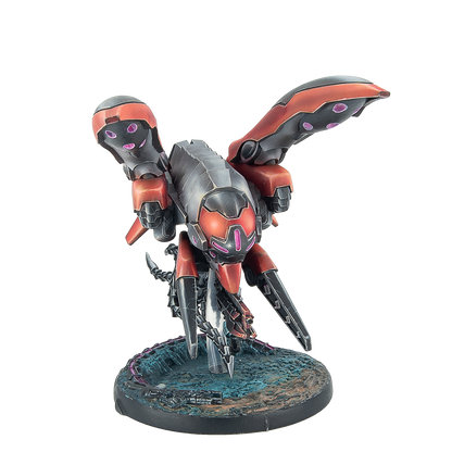 Skyhounds, Combat and Recon Air Squadron