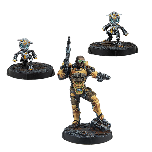 Gui Feng Xi Zhuang (Combi Rifle) (JANUARY PRE-ORDER)