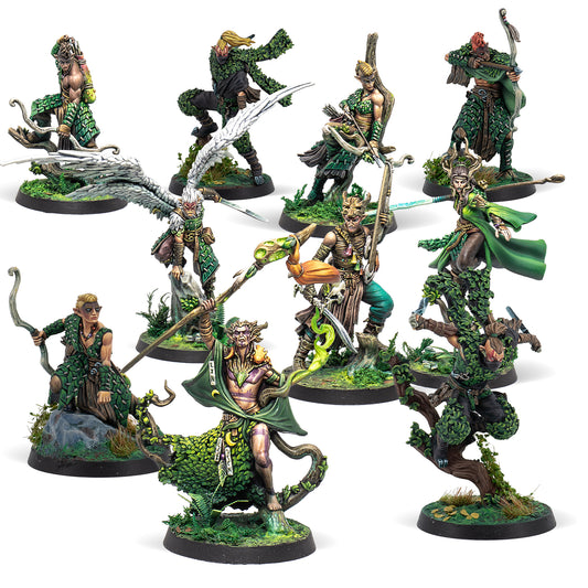 A collection of painted miniature figures representing an army of shadow creatures, with various characters including a druid, a ynyr da\u00e1 lainn, protectors of the forest, a sergeant, an aoidos, a nearly invincible warrior, and ambusher units.