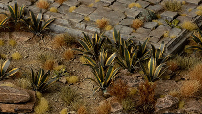 Agave