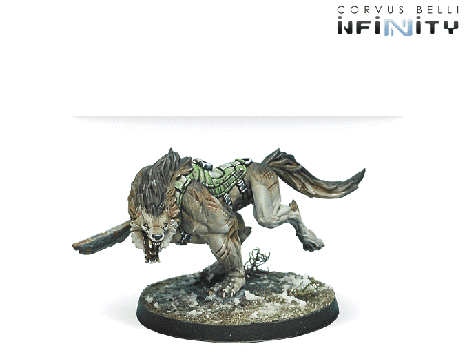 Antipode Assault Pack