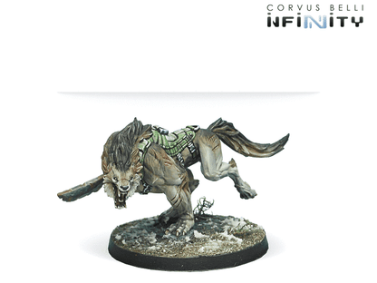 Antipode Assault Pack