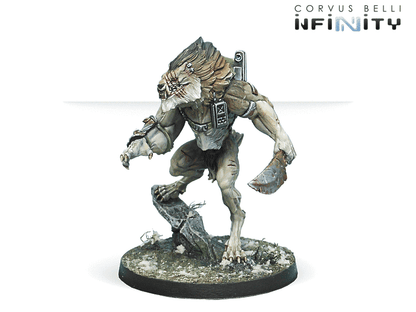 Antipode Assault Pack
