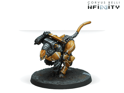 Su-Jian Immediate Action Unit